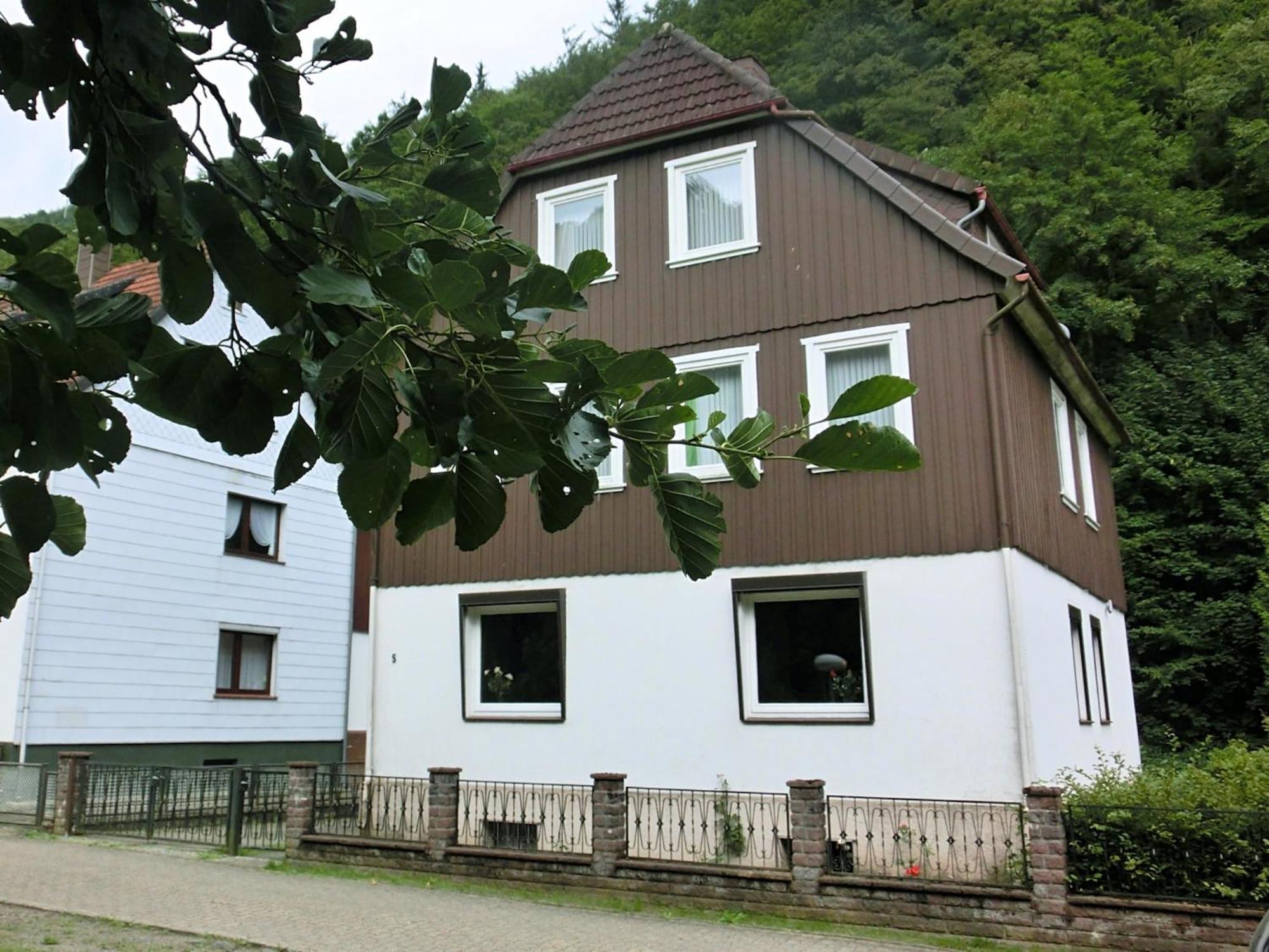 Spacious Group House In The Harz Region Zorge Kültér fotó