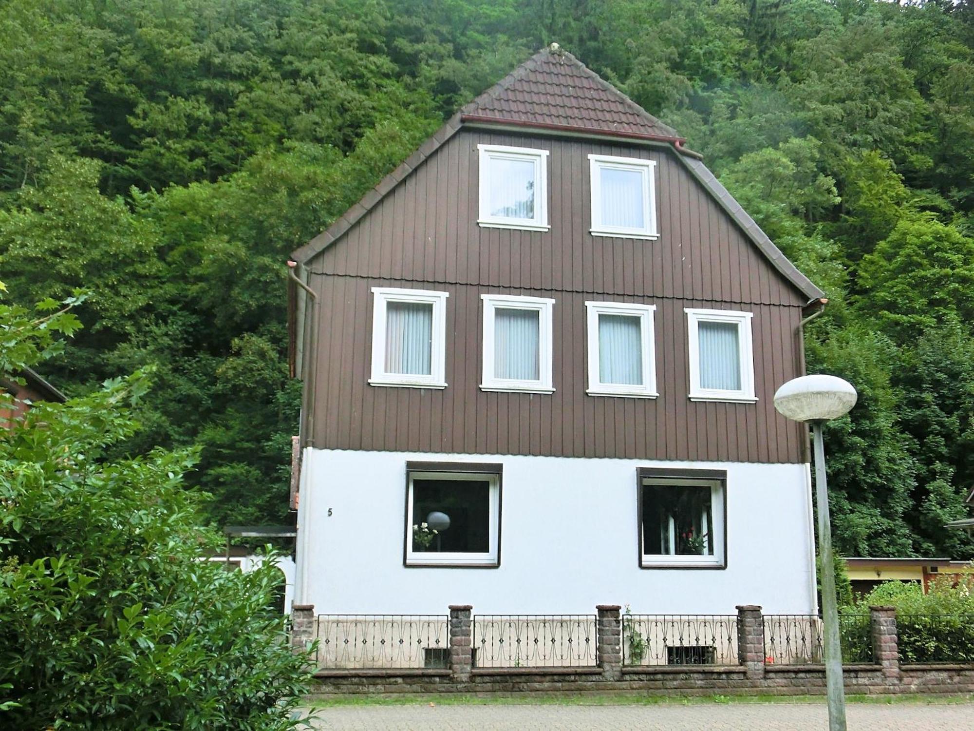 Spacious Group House In The Harz Region Zorge Kültér fotó
