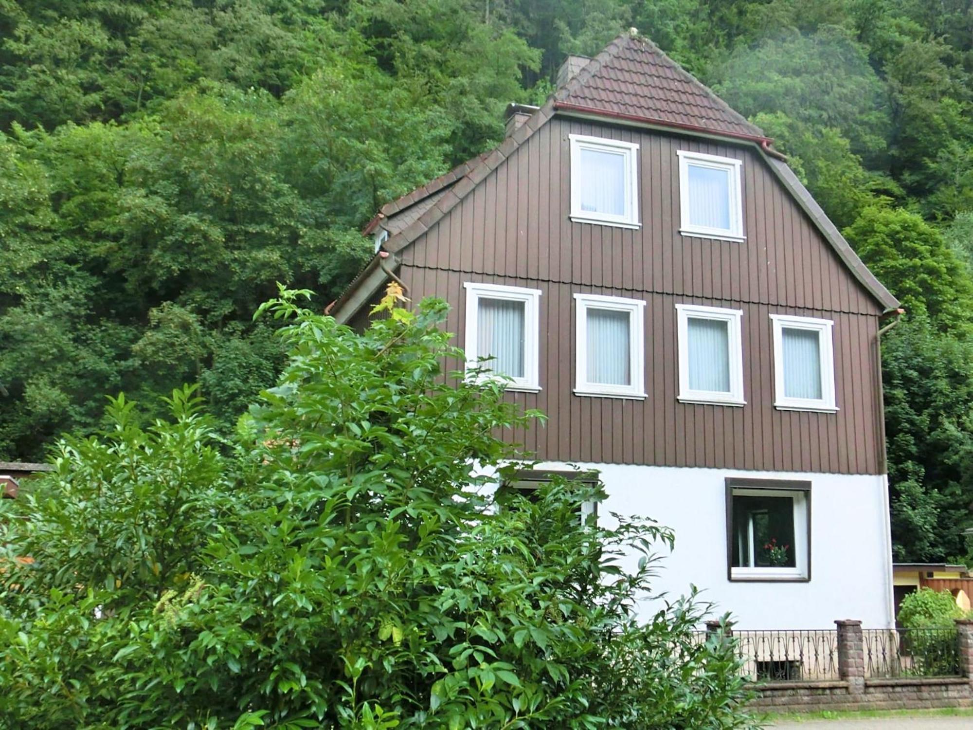 Spacious Group House In The Harz Region Zorge Kültér fotó